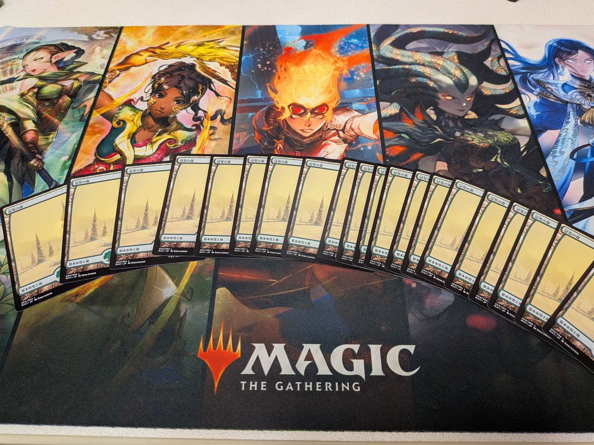 しっかり20枚あった！最高！！！