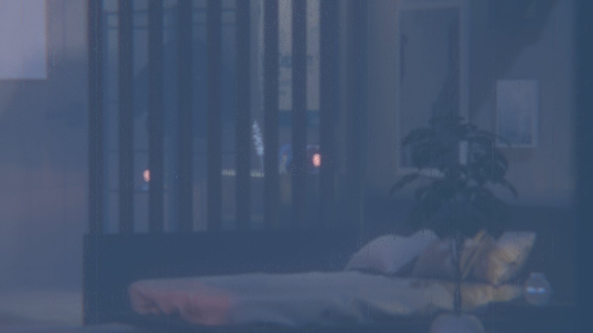 toraba___'s tweet image. World: delphinium
Author: 西成武蔵