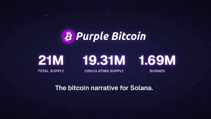 purple_bitcoin_'s tweet photo. What if you had the chance to be part of the future again? 🟣  #PBTC #PurpleBitcoin https://t.co/xx6WG8tgwu