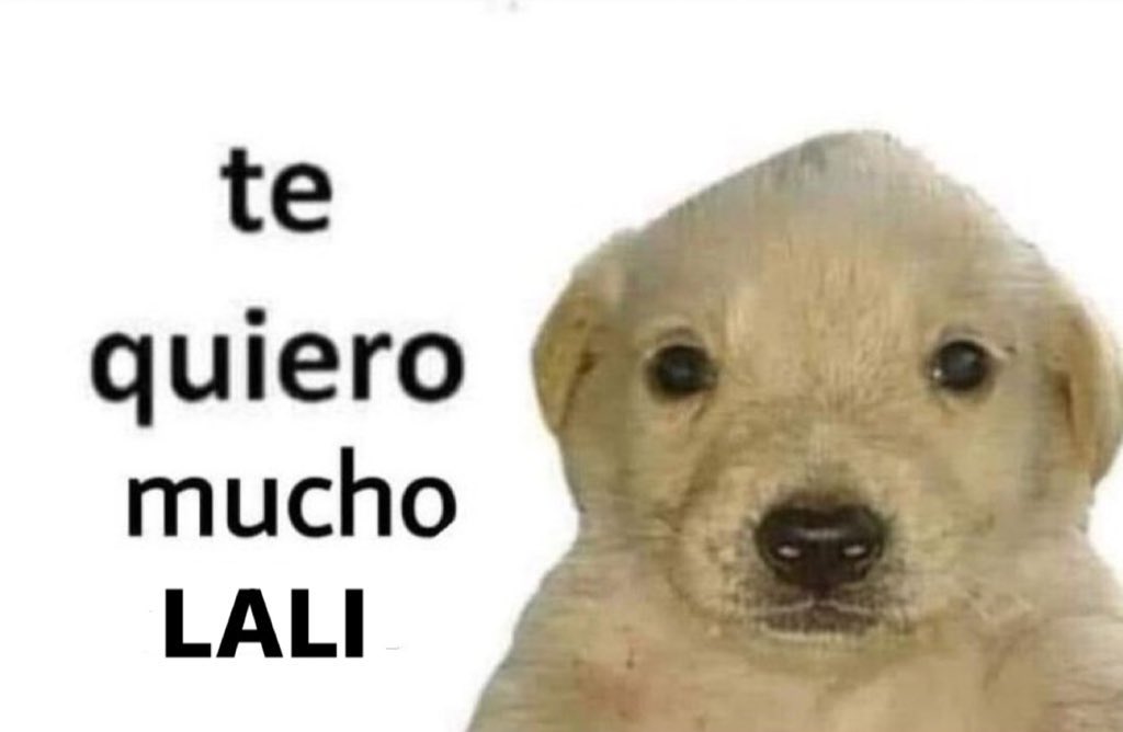 me pone tan contenta seguir a alguien como lali de verdad q nivel de paciencia q altura para responder y ubicar que buen sentido del humor que buen par de ovarios para plantarsele a quien sea que buen ser humano