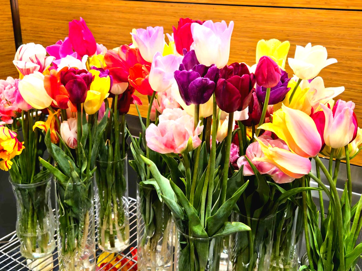 HopeHealth tweet media