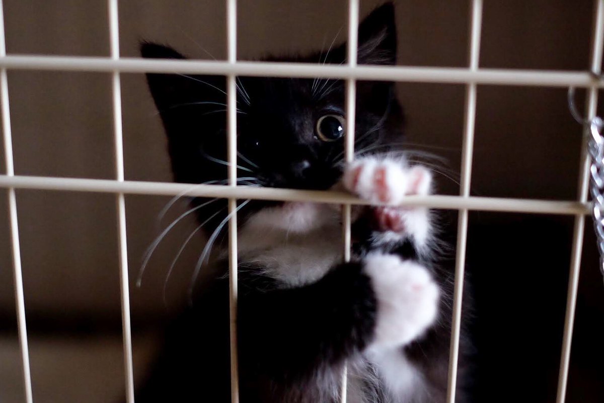 Baby Uni “Free me!”