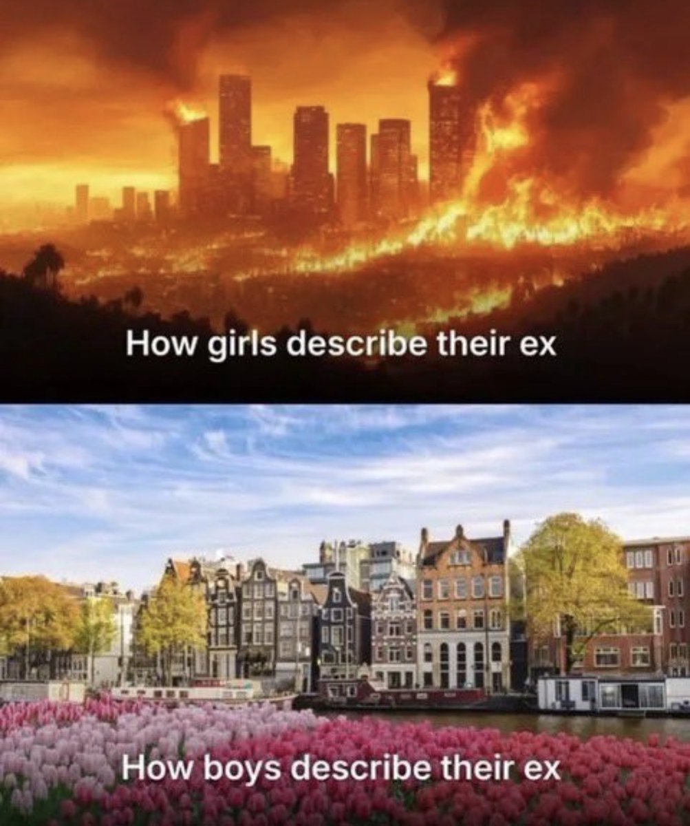 NoContextHumans's tweet image. 