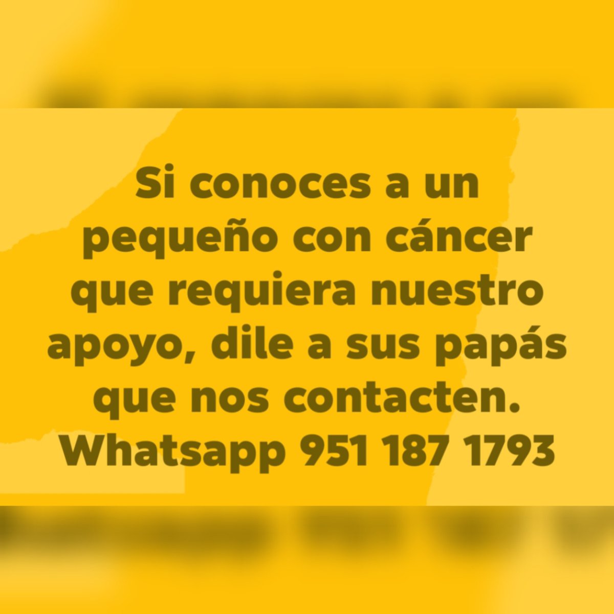 ConCausaMX's tweet photo. #ServicioSocial https://t.co/tFw0yPOgke