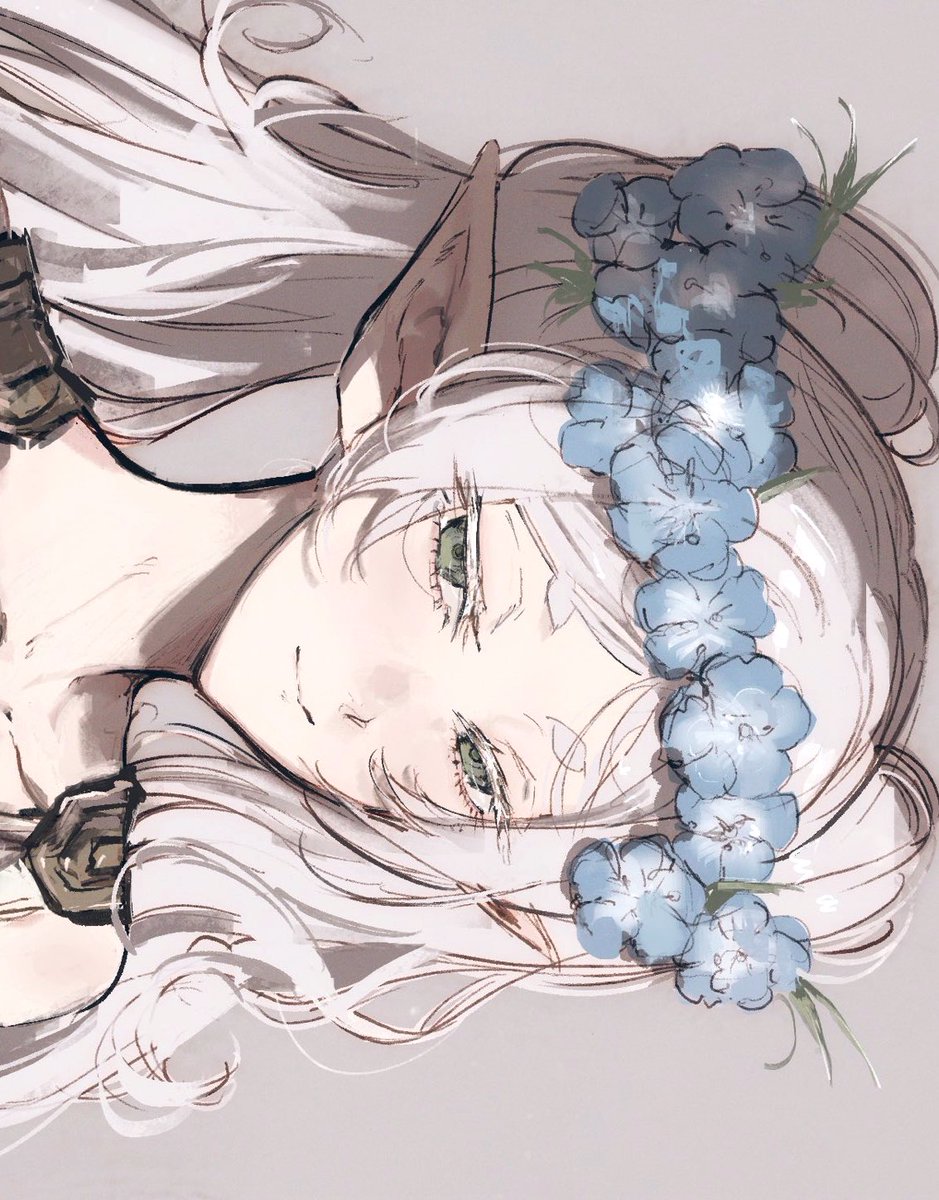 dodobo_'s tweet image. 