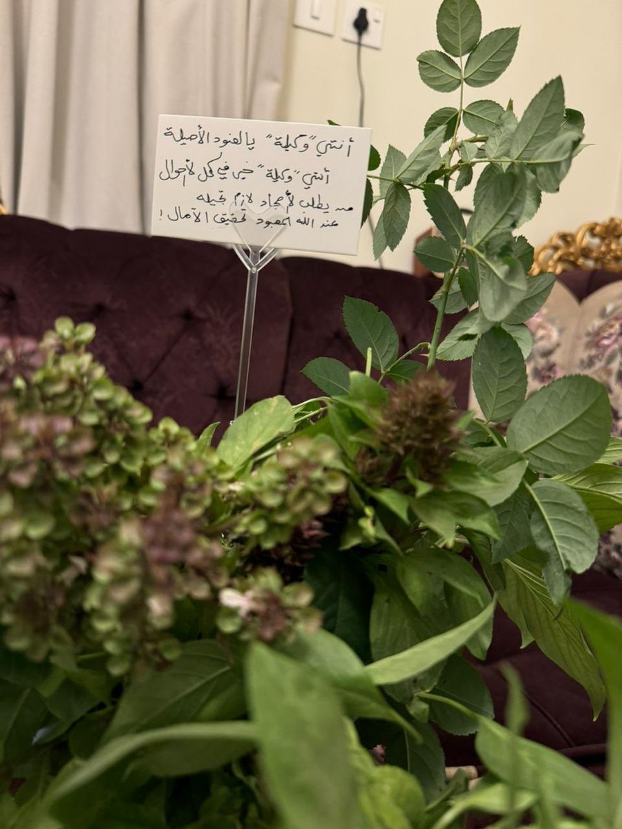 alkanz2012's tweet image. تدل دربها