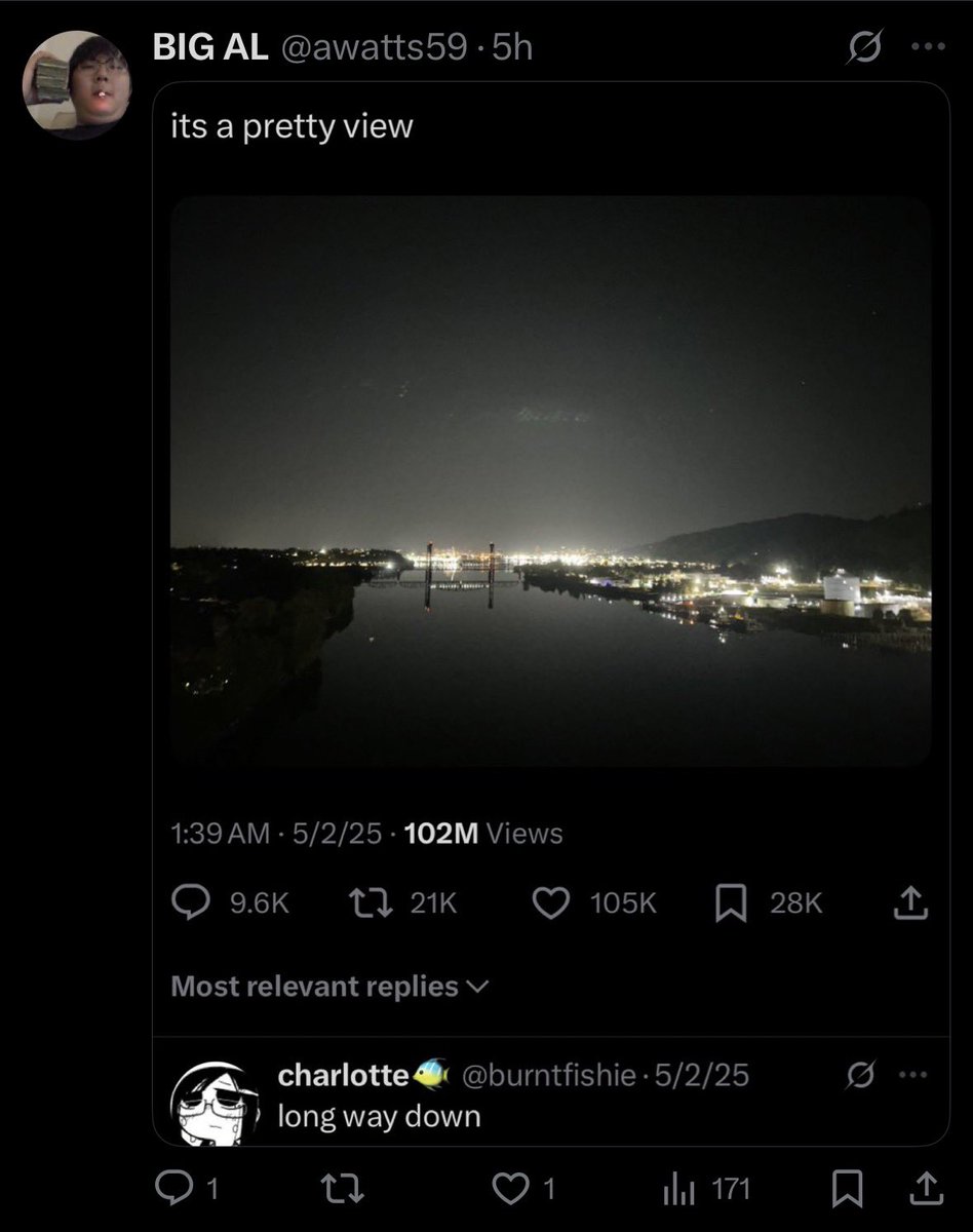 bONGO 💫 tweet media