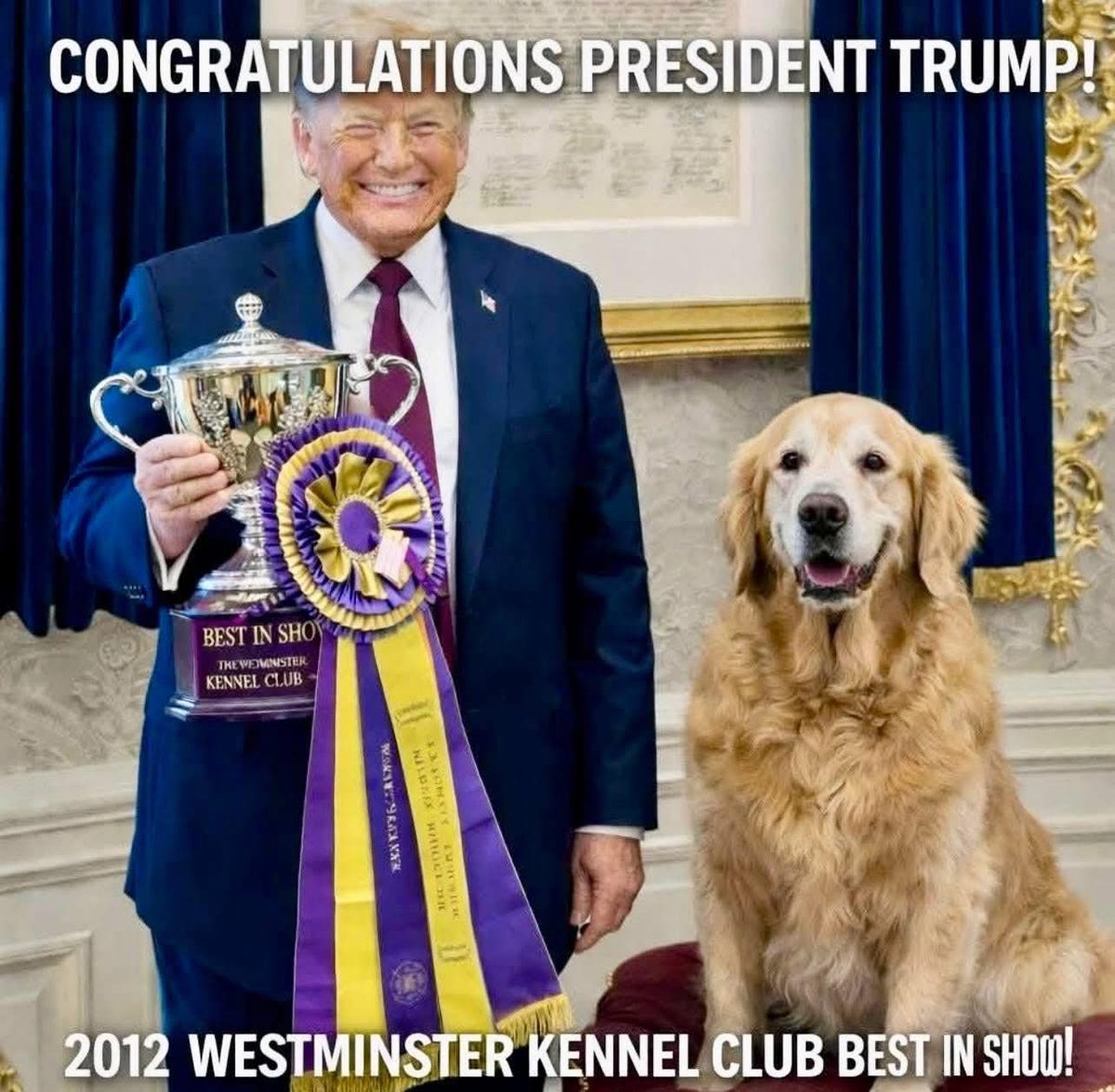 Yam_Nivek's tweet image. 