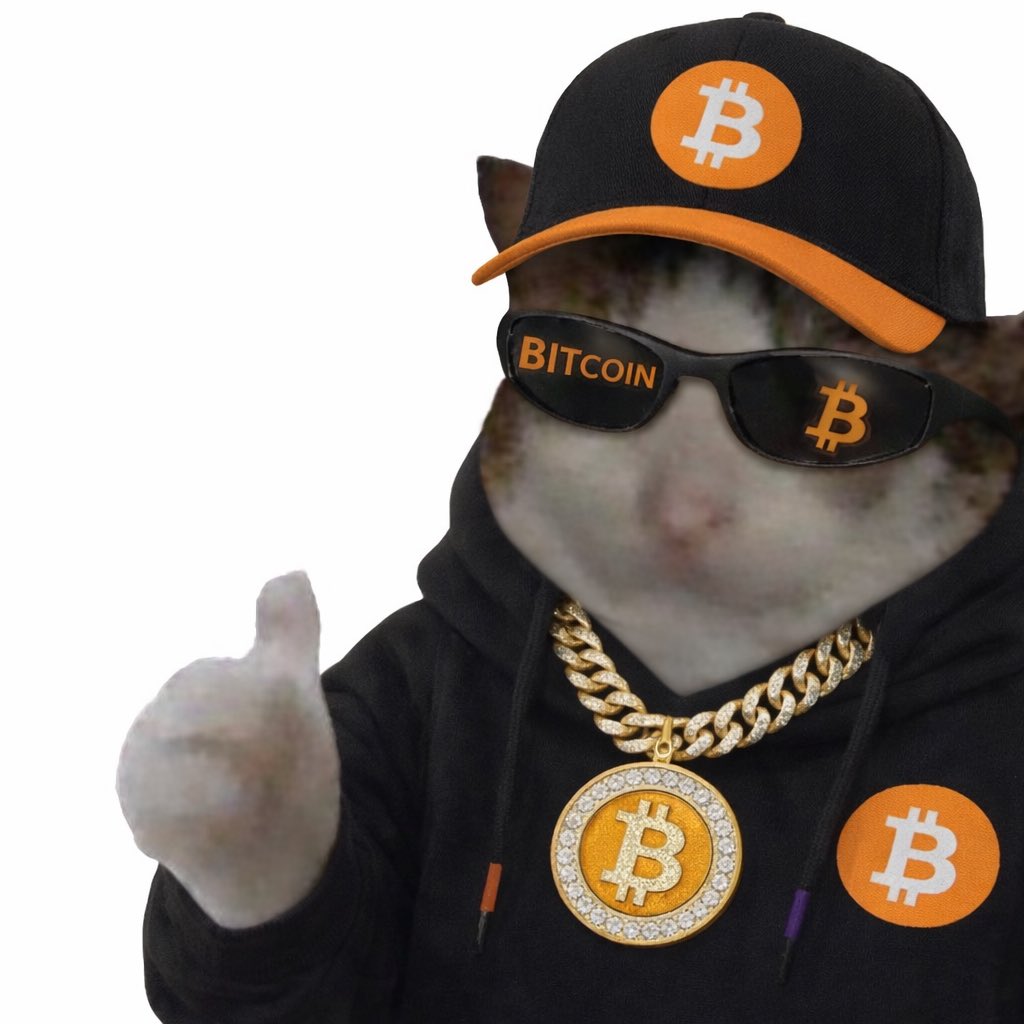 PT003__'s tweet photo. Ok cat pfp #2 πΉπ
Tried something different π€
Hope this one makes it π
@okcatmeme $ok #OkCatMeme #PFPContest https://t.co/3OC1yAZe3T