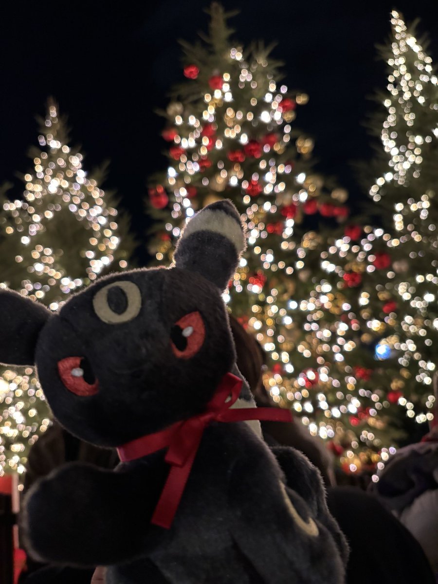 ブラッキー信仰者 tweet media