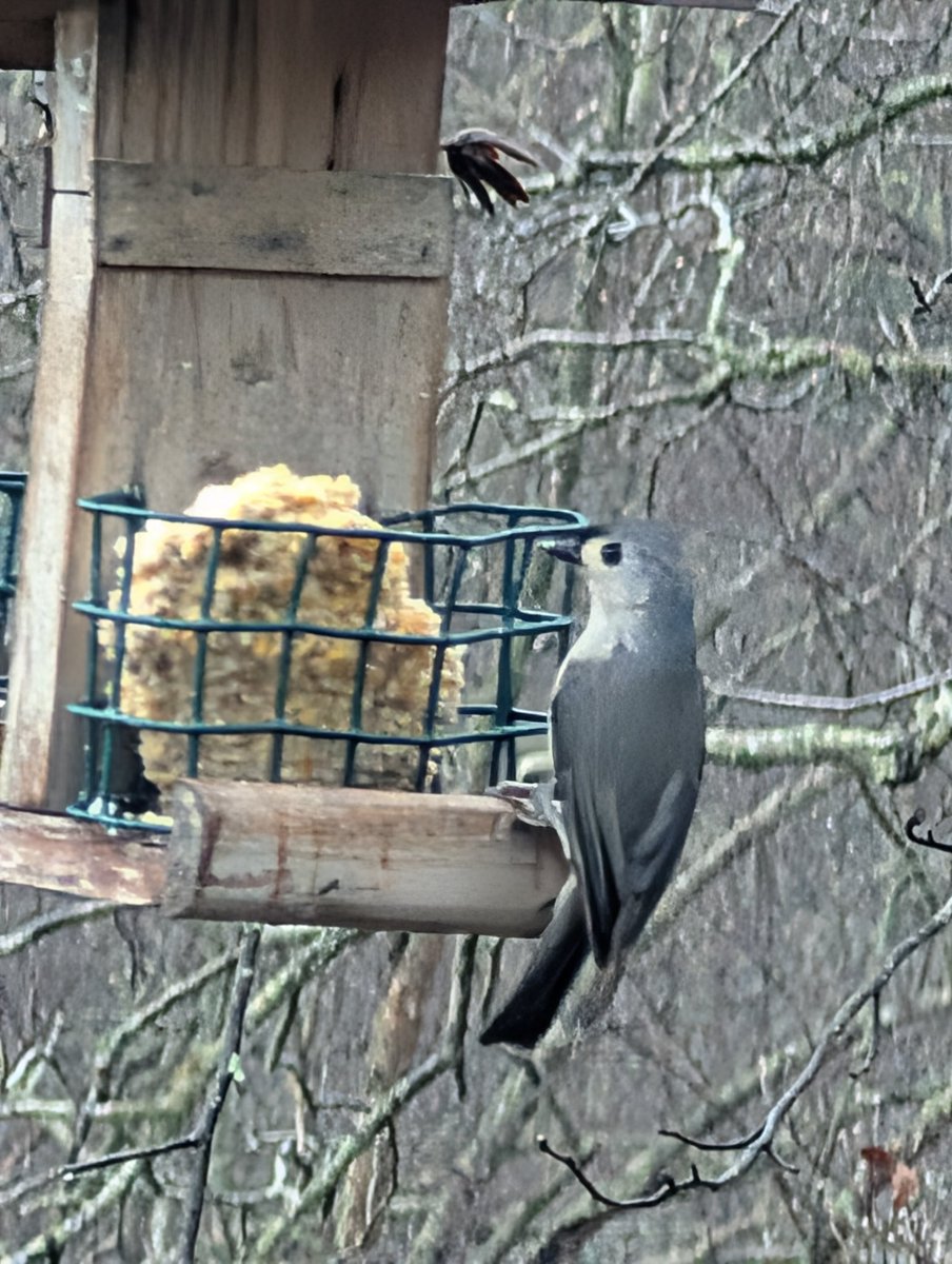 Richard42 tweet media