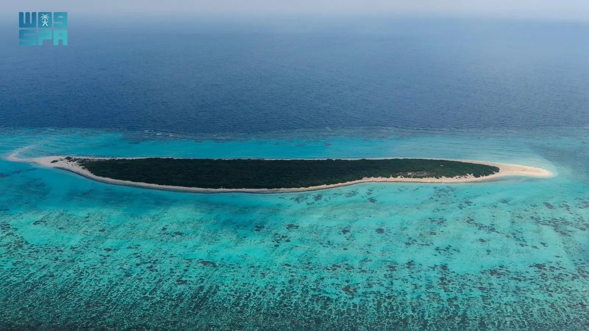 laith_media's tweet image. #صور 📸:
جزيرة مرمر بمحافظة #الليث محمية طبيعية تزخر بتنوعها البيئي وترسم ملامح سياحة بحرية مُستدامة .. 
🔗: spa.gov.sa/N2490240