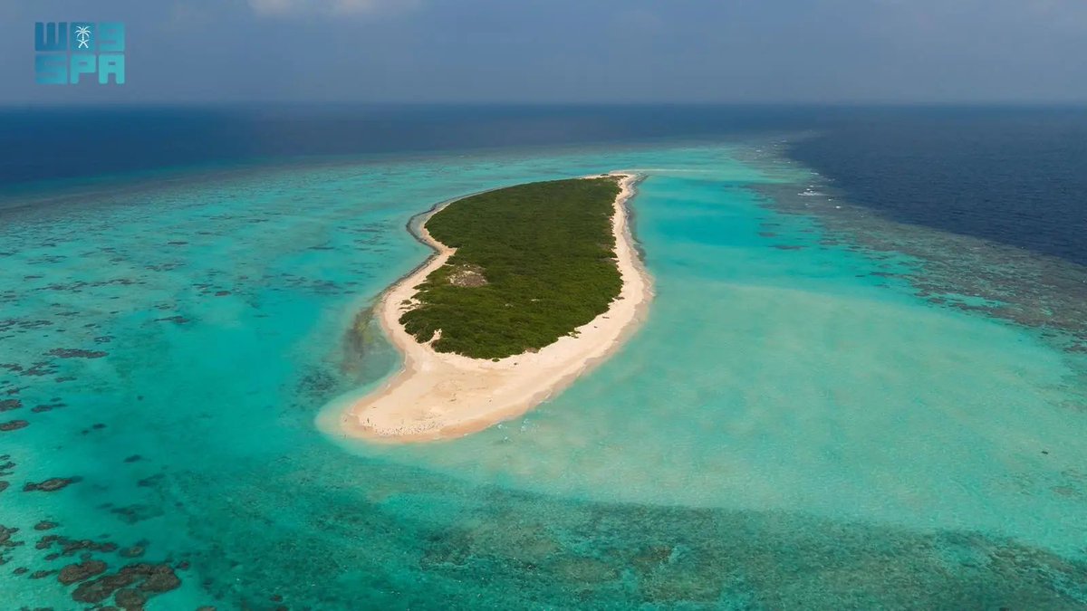 laith_media's tweet image. #صور 📸:
جزيرة مرمر بمحافظة #الليث محمية طبيعية تزخر بتنوعها البيئي وترسم ملامح سياحة بحرية مُستدامة .. 
🔗: spa.gov.sa/N2490240