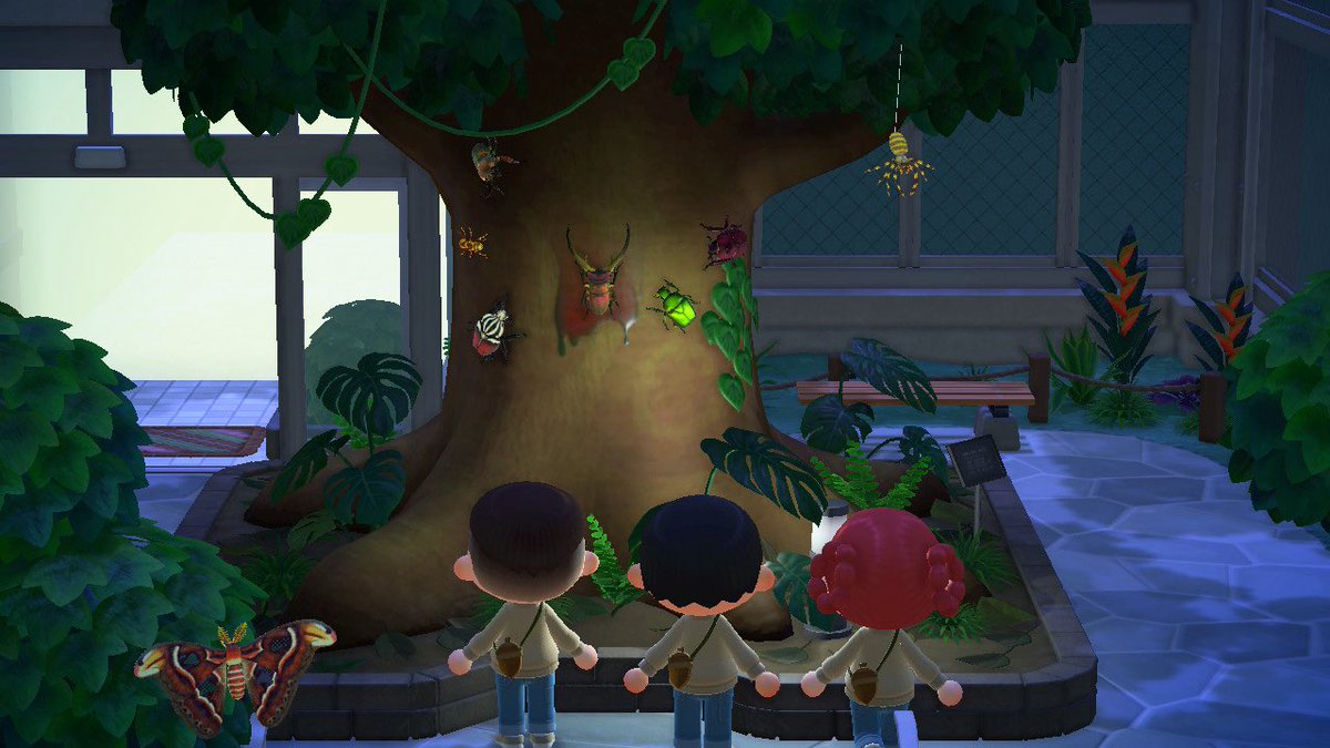 길드원들이랑 내 섬에서 놀았어