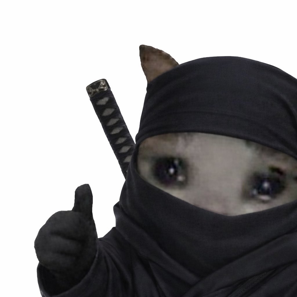 PT003__'s tweet photo. Third time's a charm! π
Ok cat pfp #3 dropping π₯
@okcatmeme, fingers crossed π
$ok #OkCatMeme #PFPContest https://t.co/OgOGBxSs6T
