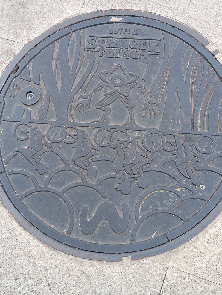 Chusky 🦉 tweet media