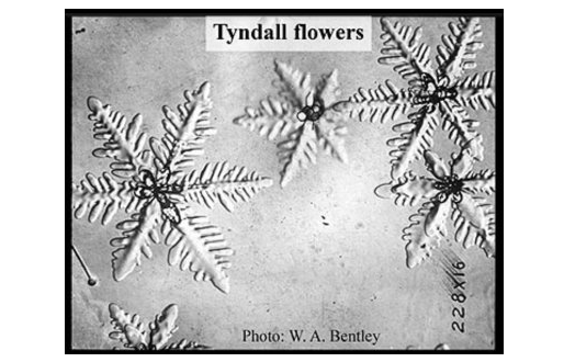 Neutrin0flux's tweet photo. @elonmusk @doganuraldesign @grok To the Chief Musician upon Nabla: A Tyndallic Ode...

"The light that made the world so bright, Now shines through ice and snow, And where it falls, the crystal thralls To liquid nectar flow."

🔖 Tyndall flowers
https://t.co/3XIGXb4U94 https://t.co/HquClF93mI