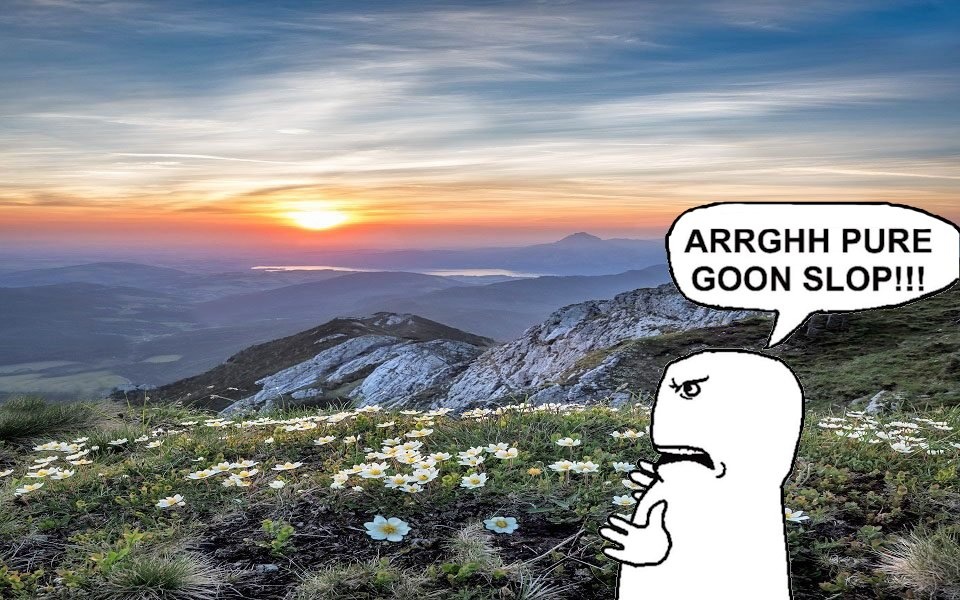 jifferey's tweet image. 