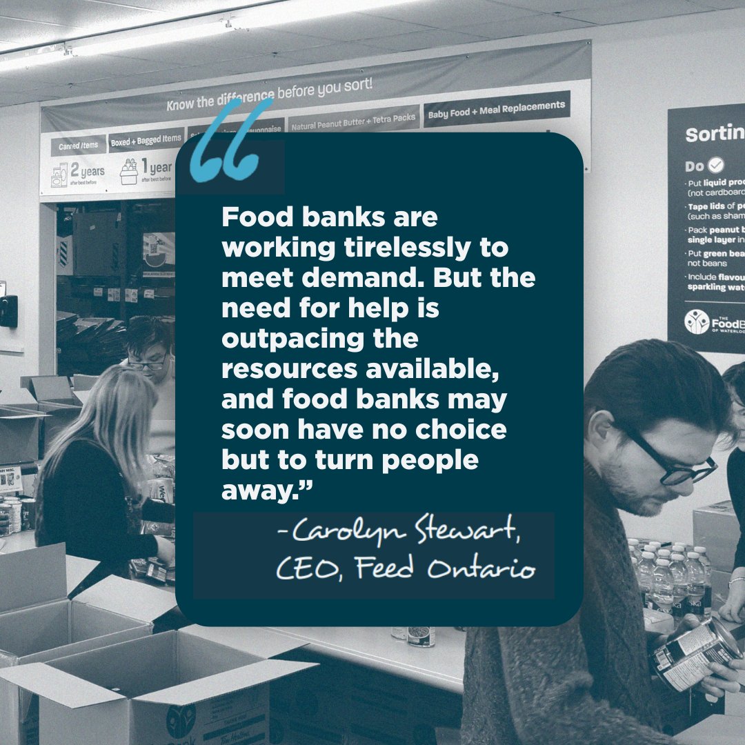 Feed Ontario tweet media