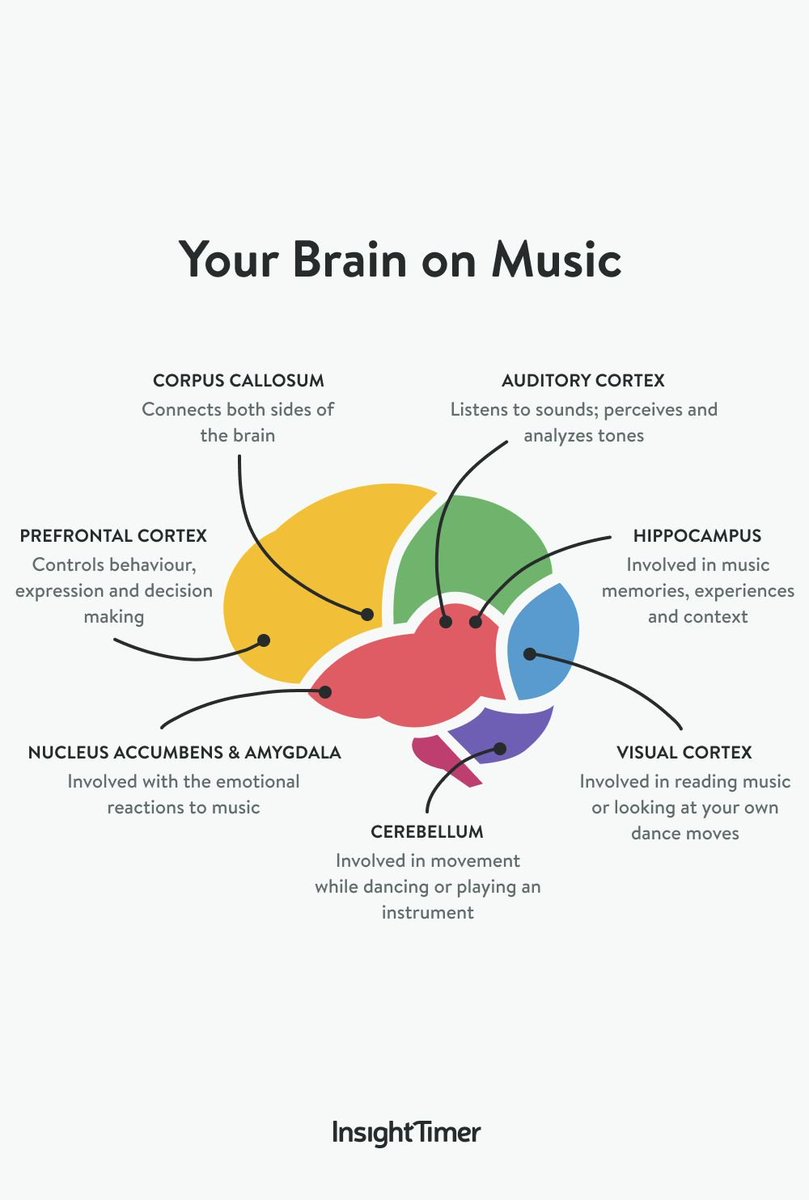 Your brain on music