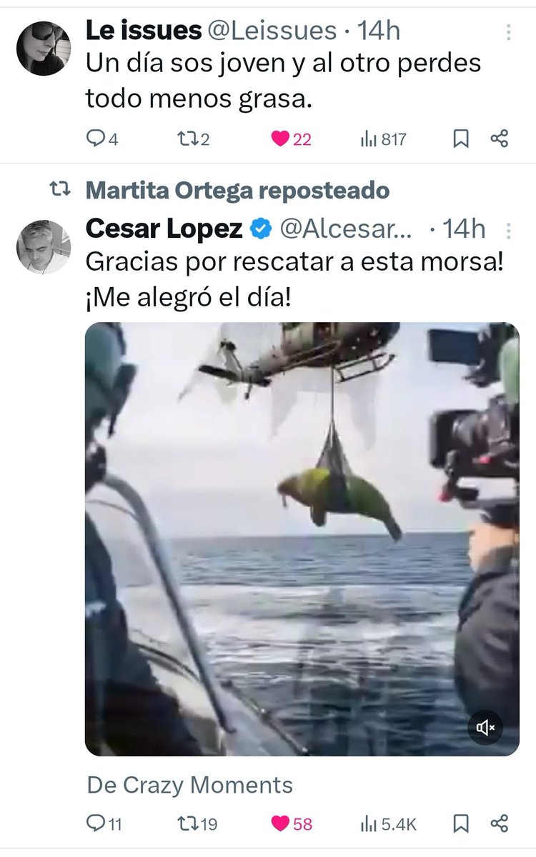 #combituit <a href="/Leissues/">Le issues</a> <a href="/Alcesarlosuyo/">Cesar Lopez</a> 
Salven a la morsa