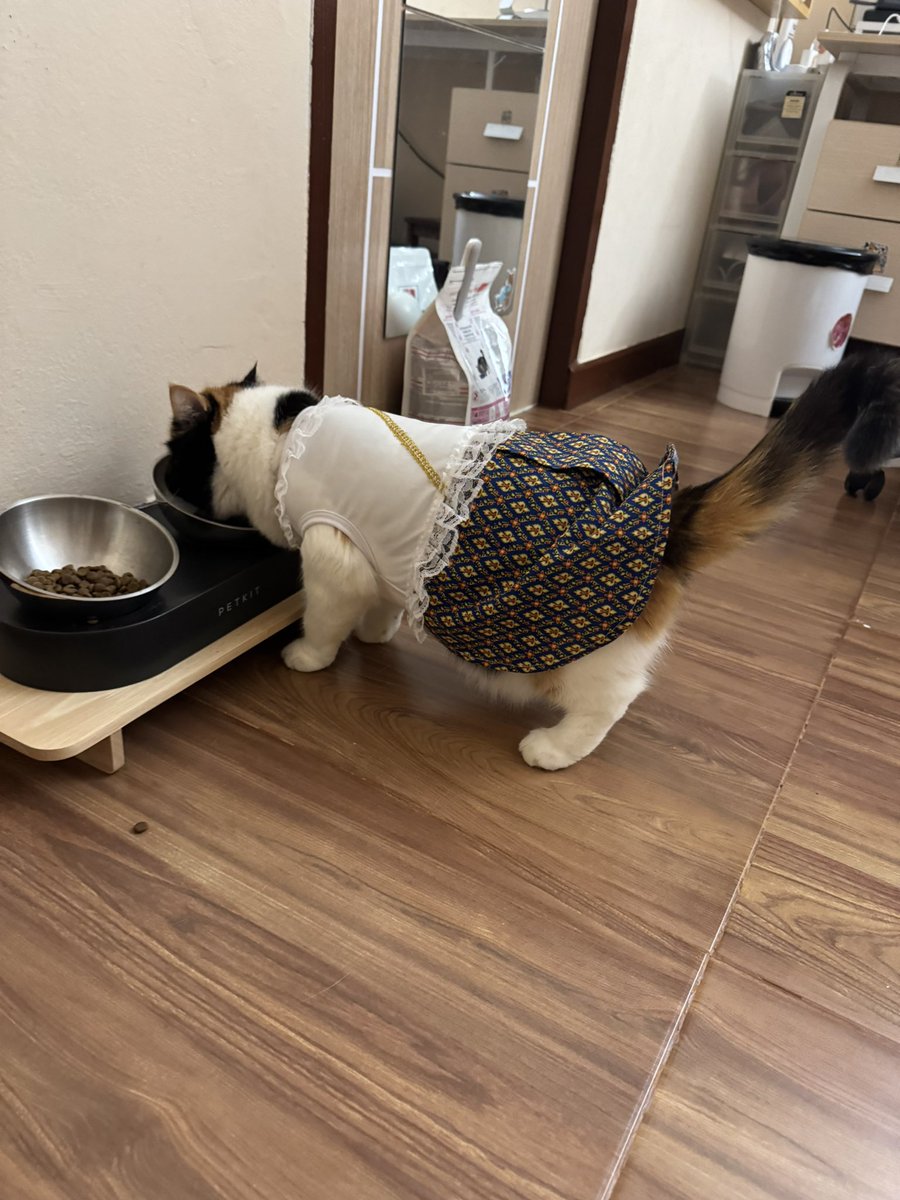 แต่งตัวไปคอนไม่ทัน เลยอยู่บ้านกินข้าวซะเลย