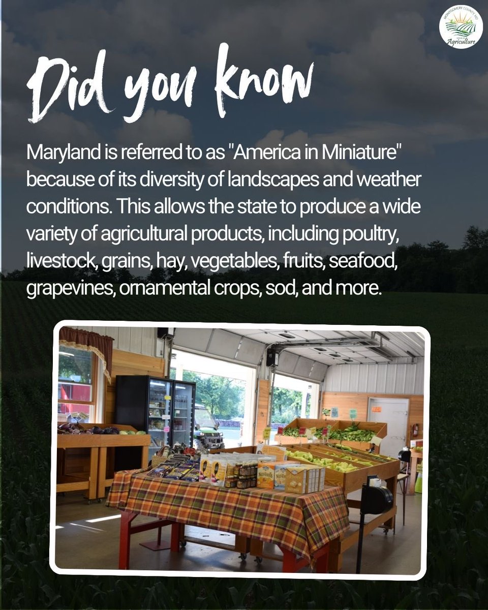 MoCoOAG's tweet image. Did you know Maryland is called “America in Miniature” because of its diverse landscapes and weather, allowing farms to grow a wide range of products across the state?#MarylandAg #MoCoAg #FarmDiversity