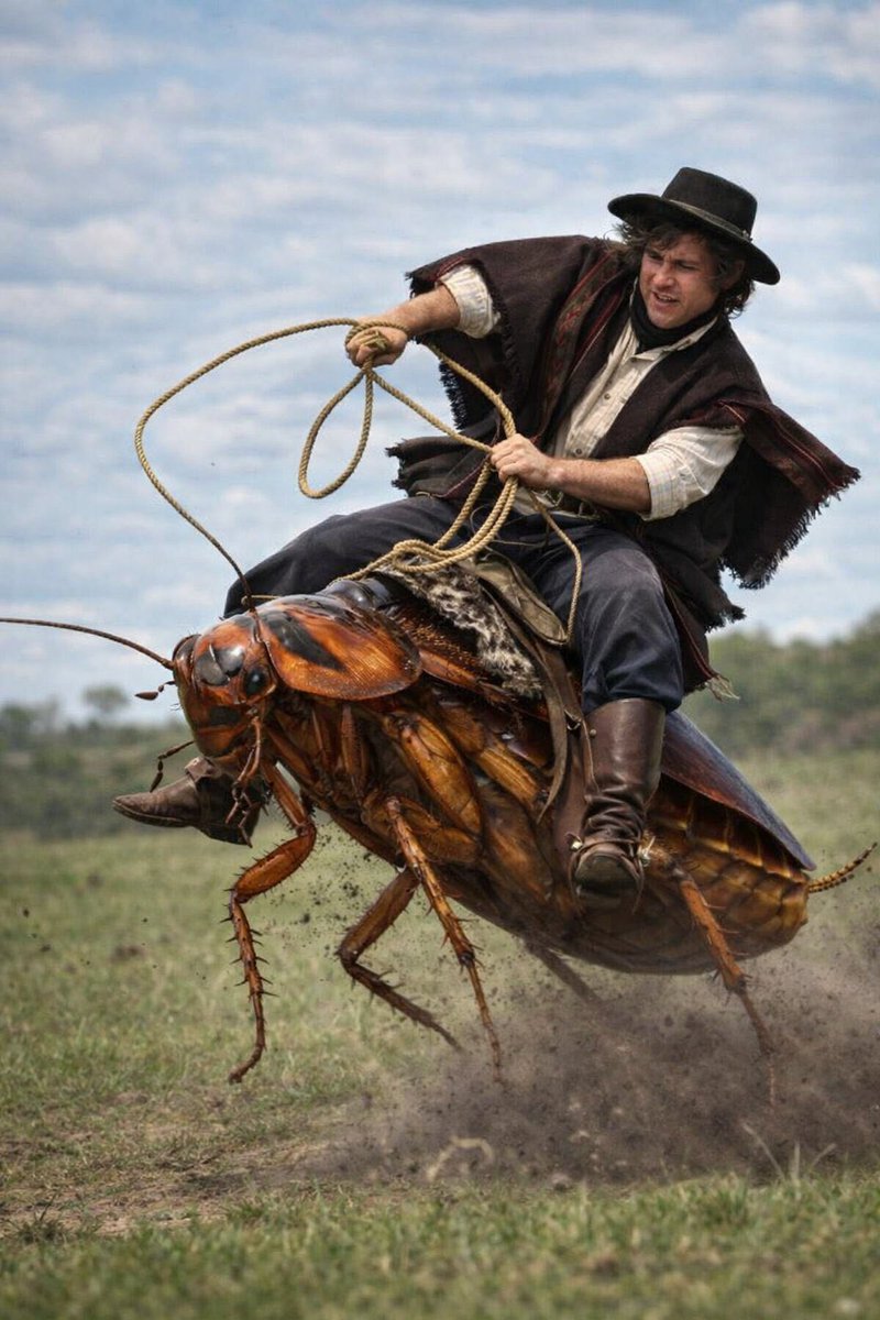 Que BUENO que estuvo el festival de doma y folclore