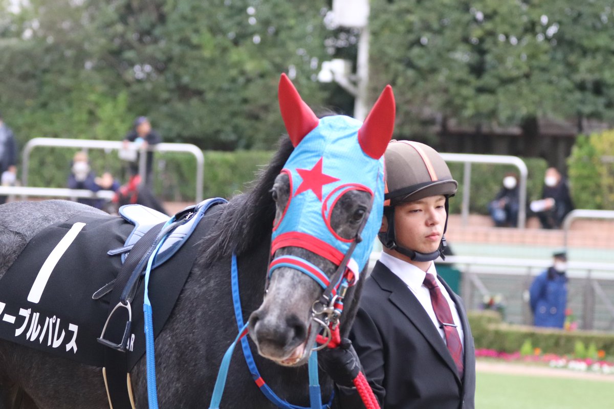 ゆん (@ryu_star_5) / Posts / X