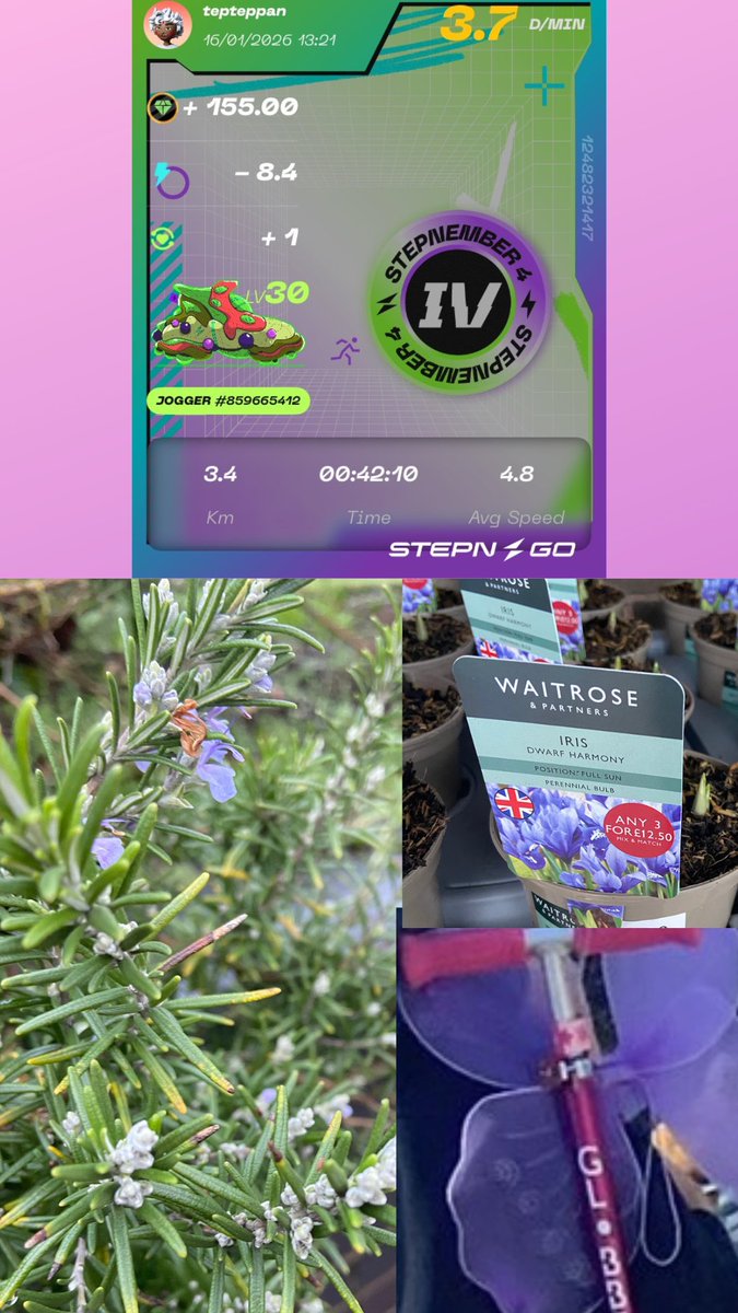 #STEPNGO #StreetHunt #Purple　
Week 1 : Purple🪻🟣🟪