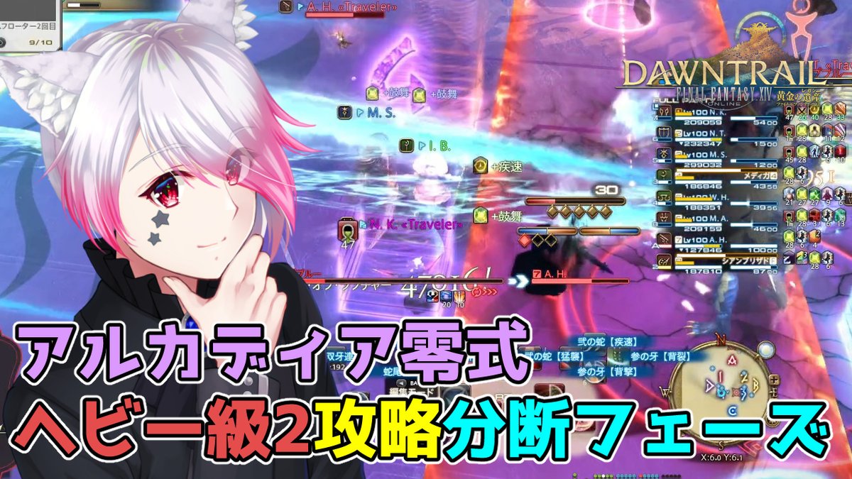 今日は分断フェーズ練習してきた 【FF14】アルカディア零式 ヘビー級2