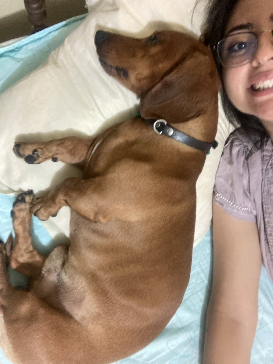 schul_zi's tweet image. Solo quiero volver a estar contigo