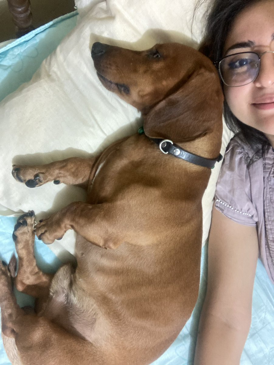 schul_zi's tweet image. Solo quiero volver a estar contigo