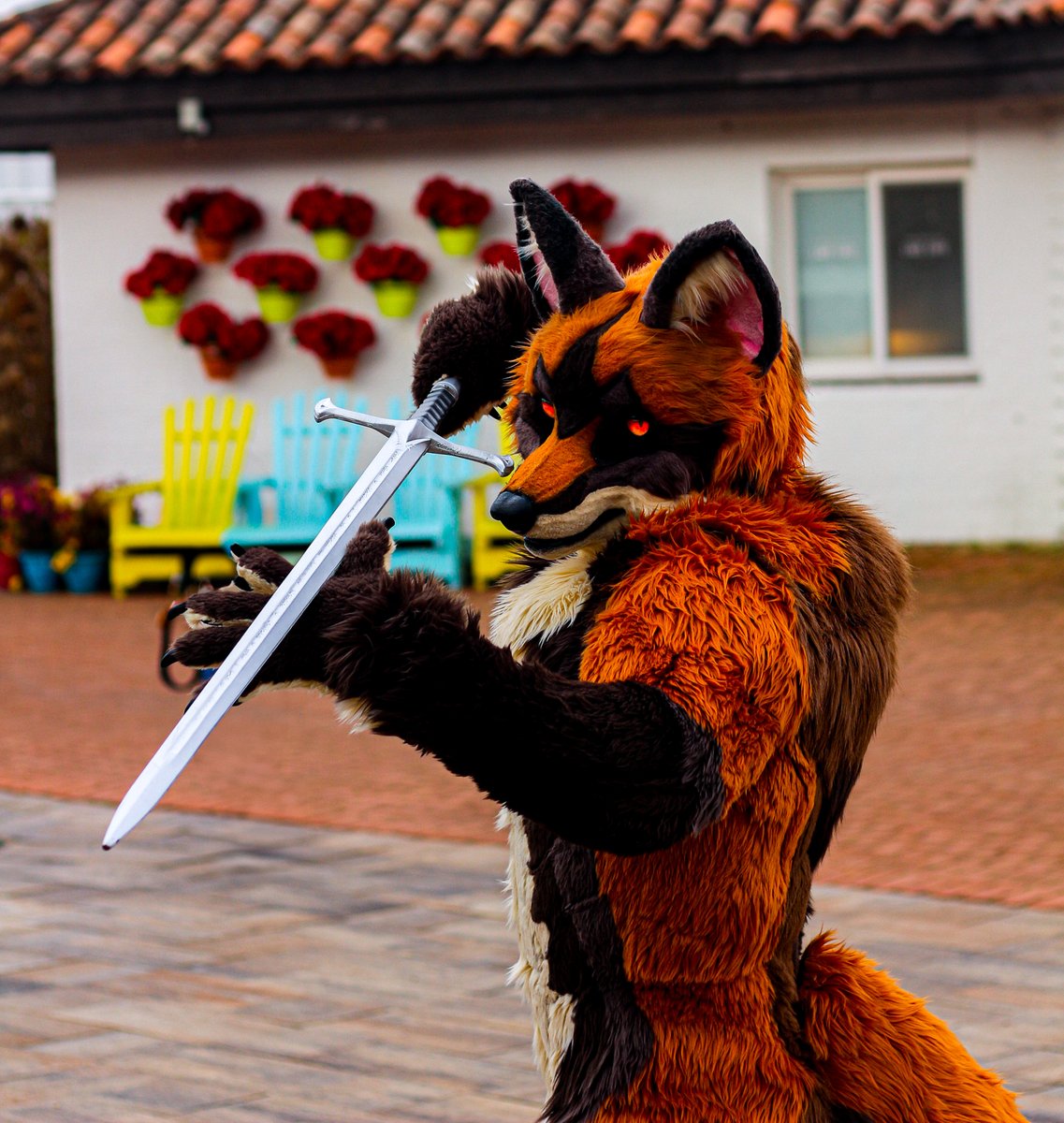 #FursuitEveryday 
Warrior🦊
📸@ ria_picture_