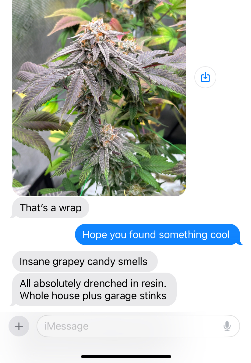 Skunktek tweet media