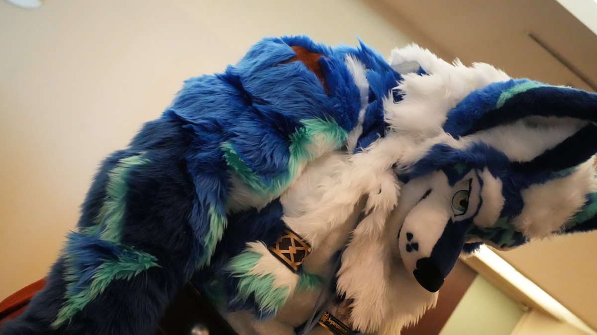 もふっきんが凄い！
 #JMoF2026