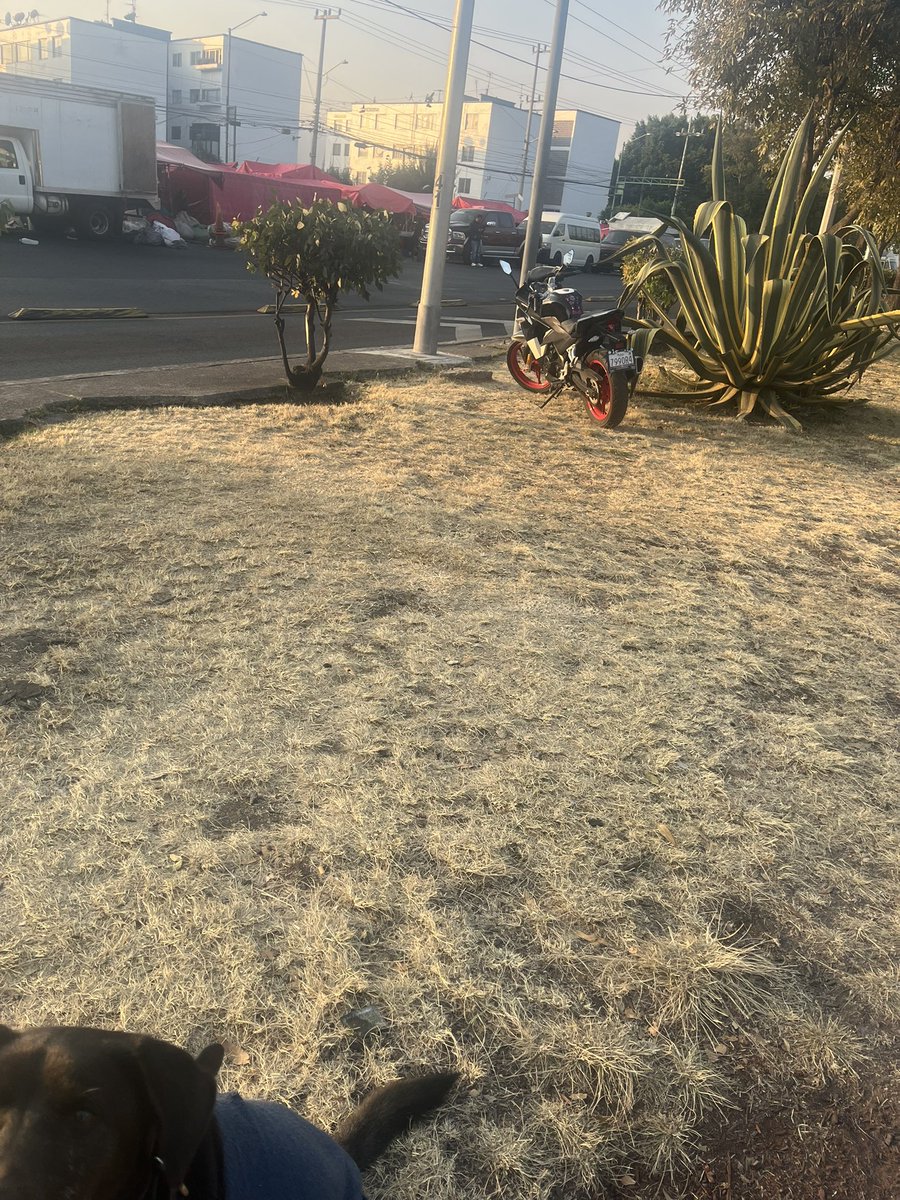 Soff1908's tweet image. No sé cuántas veces he reportado que los tianguistas usan el camellón de Av del Imán como estacionamiento de motos… ahora estacionan 3, si los siguen dejando pronto habrá hasta carros ahí arriba @UCS_GCDMX @Alcaldia_Coy @coylavoz 

maps.app.goo.gl/vCUtCMAemWxysH…