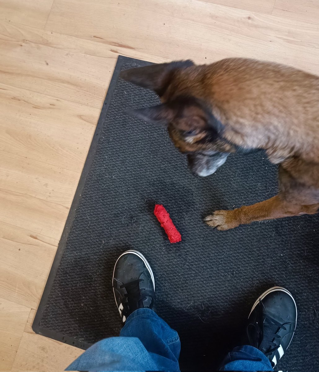 Grotakrout tweet media