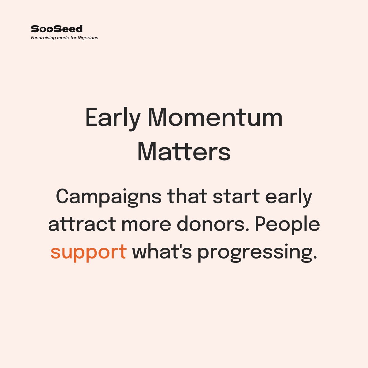 sooseed tweet media