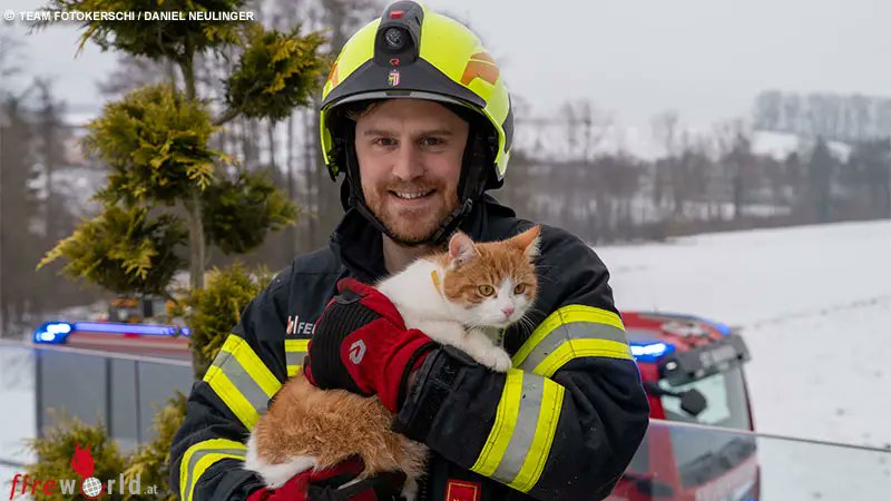 FireWorldAT's tweet image. Oö: Katze unter Fliesen auf der Terrasse eingeschlossen - 
 fireworld.at/2026/01/17/ooe…