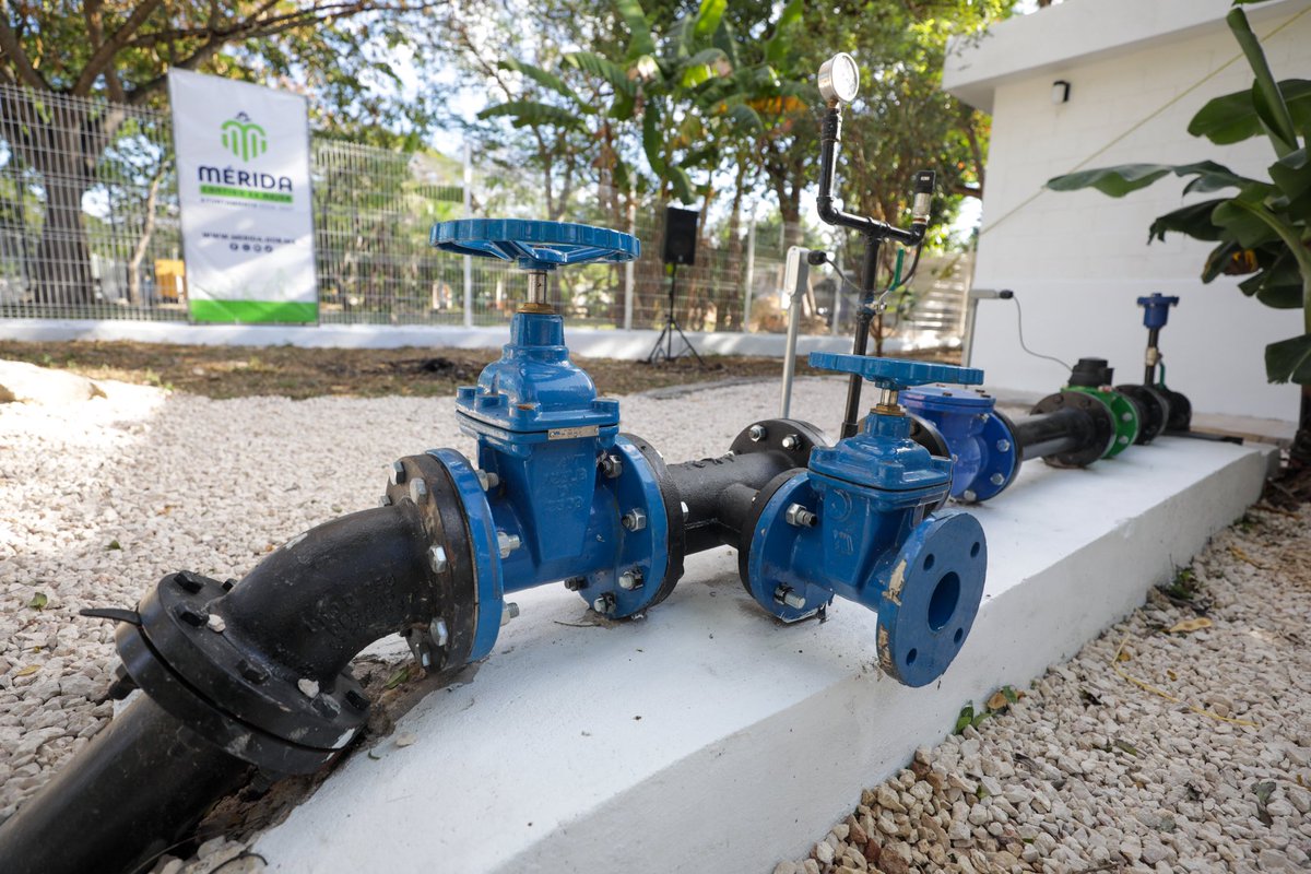 Cecilia Patrón Laviada tweet media