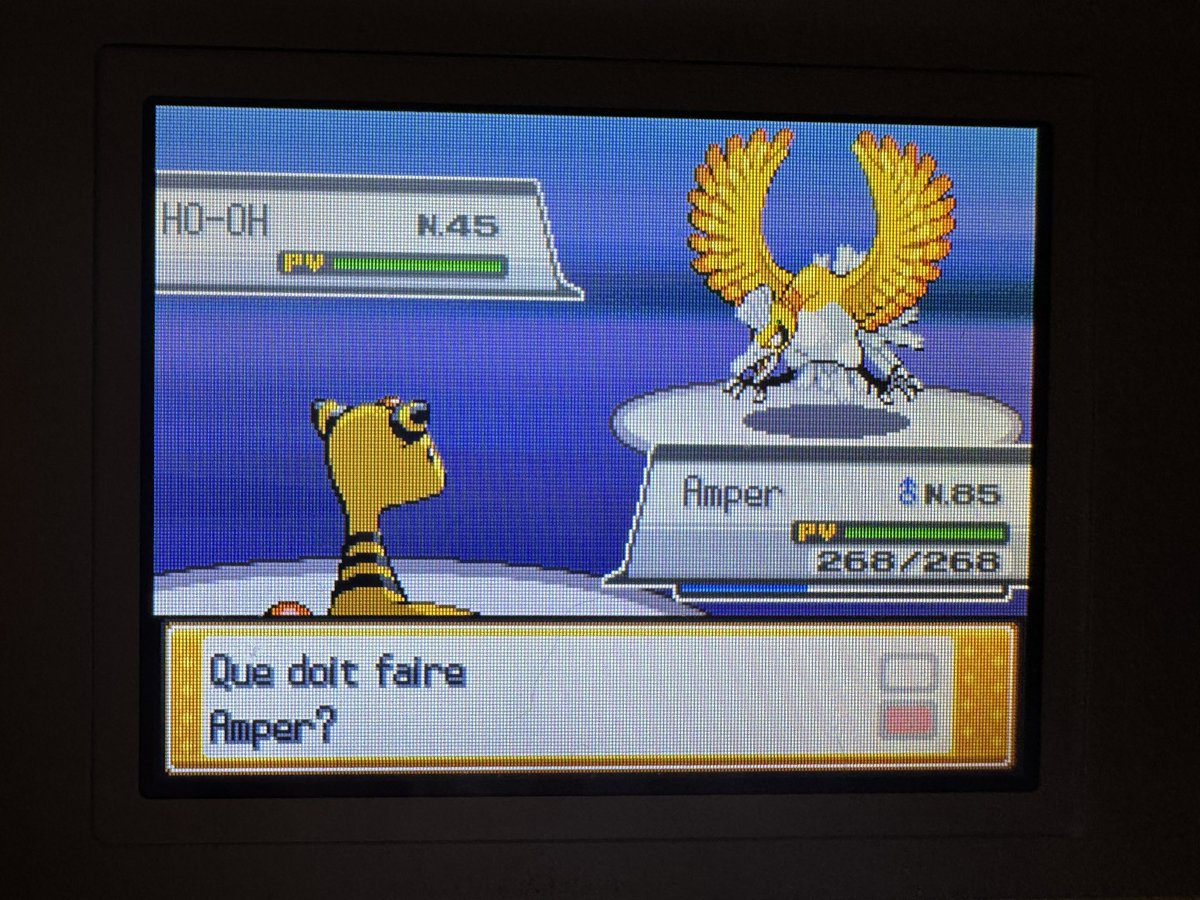 le K 🌟 tweet media