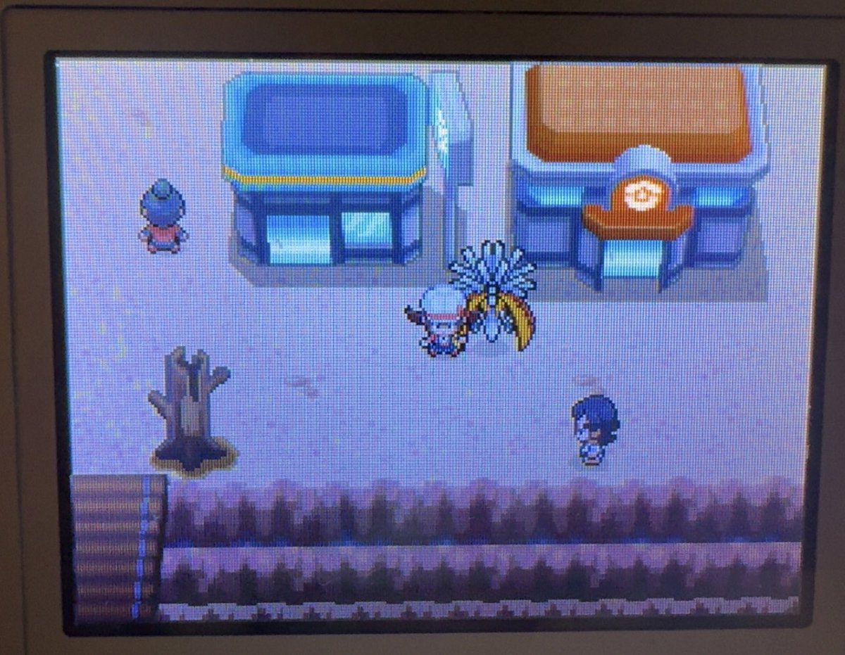 le K 🌟 tweet media