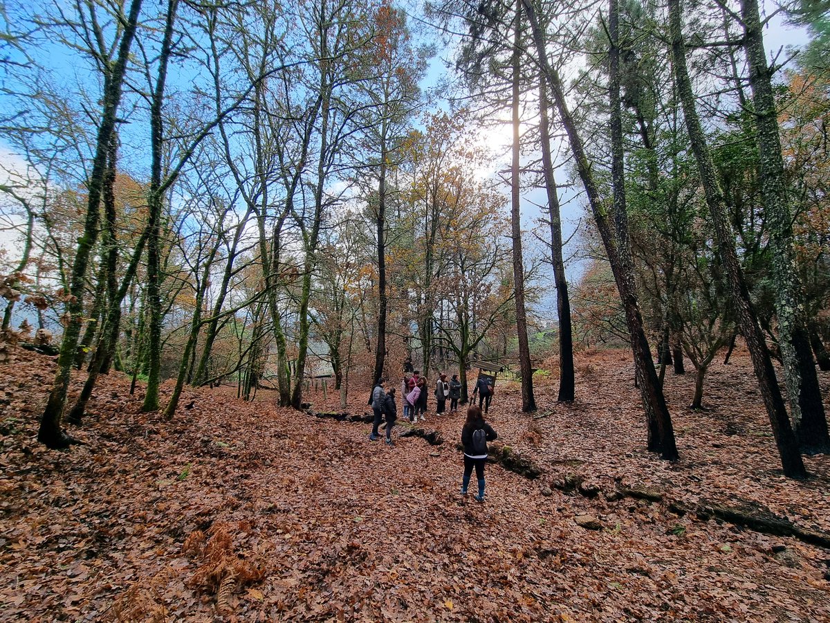 Asociación Ridimoas tweet media