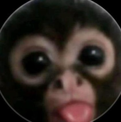 asssha's tweet image. クリスマスの食事 🦟