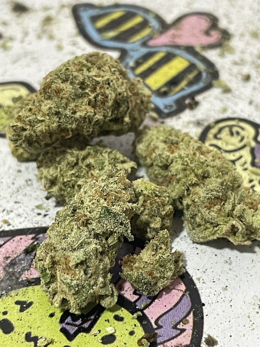 #buenoshumos les compartimos esta pic de weedporn de viernes 🤤

Ya empezó la 5ta temporada 🍁

#hueleamota miércoles 10pm