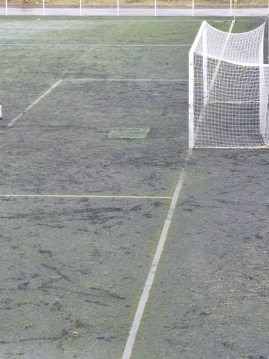 No aporto nada nuevo indicando el estado de los campos en este caso el campo 2, pero el malestar de los padres del equipo era notable de pagar por el acceso para ver el estado lamentablemente de los campos