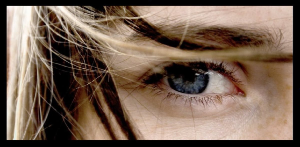 AulaMèdia tweet media