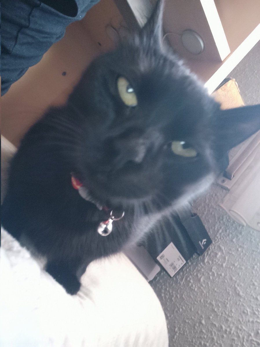 cigarro jodido rojo e imbécil tweet media