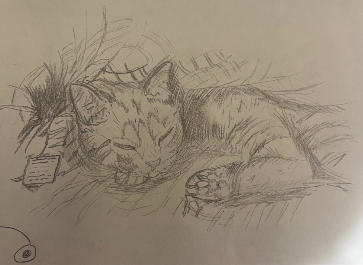 PaperSamurai_'s tweet image. Fuckin kitty